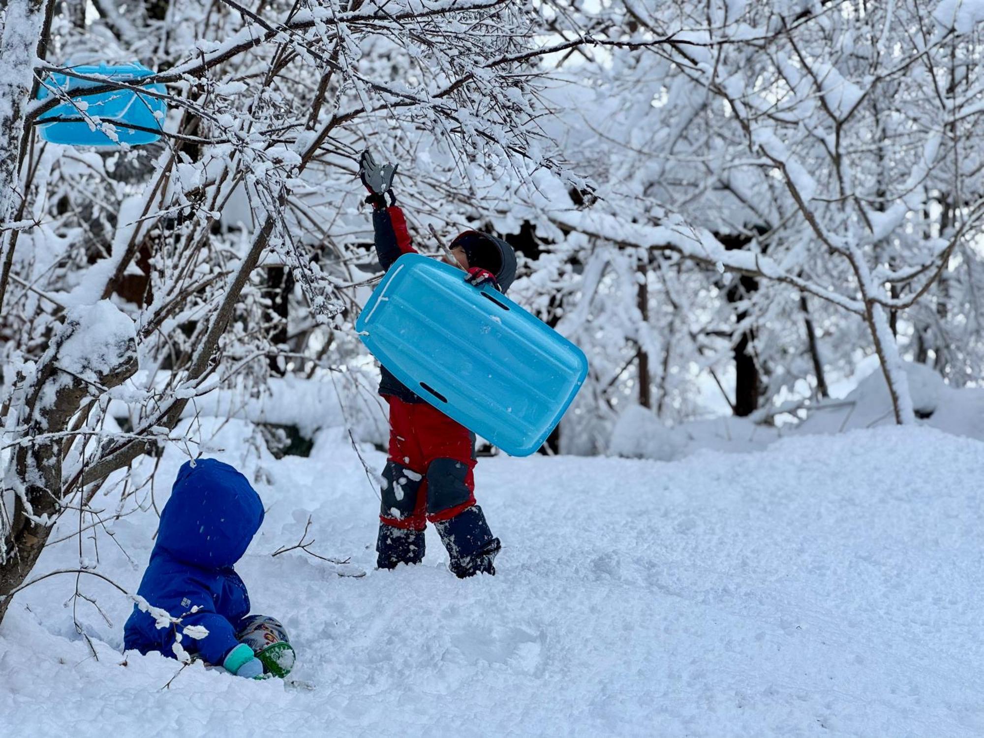 Hakuba Riverside Loghouse Exterior photo