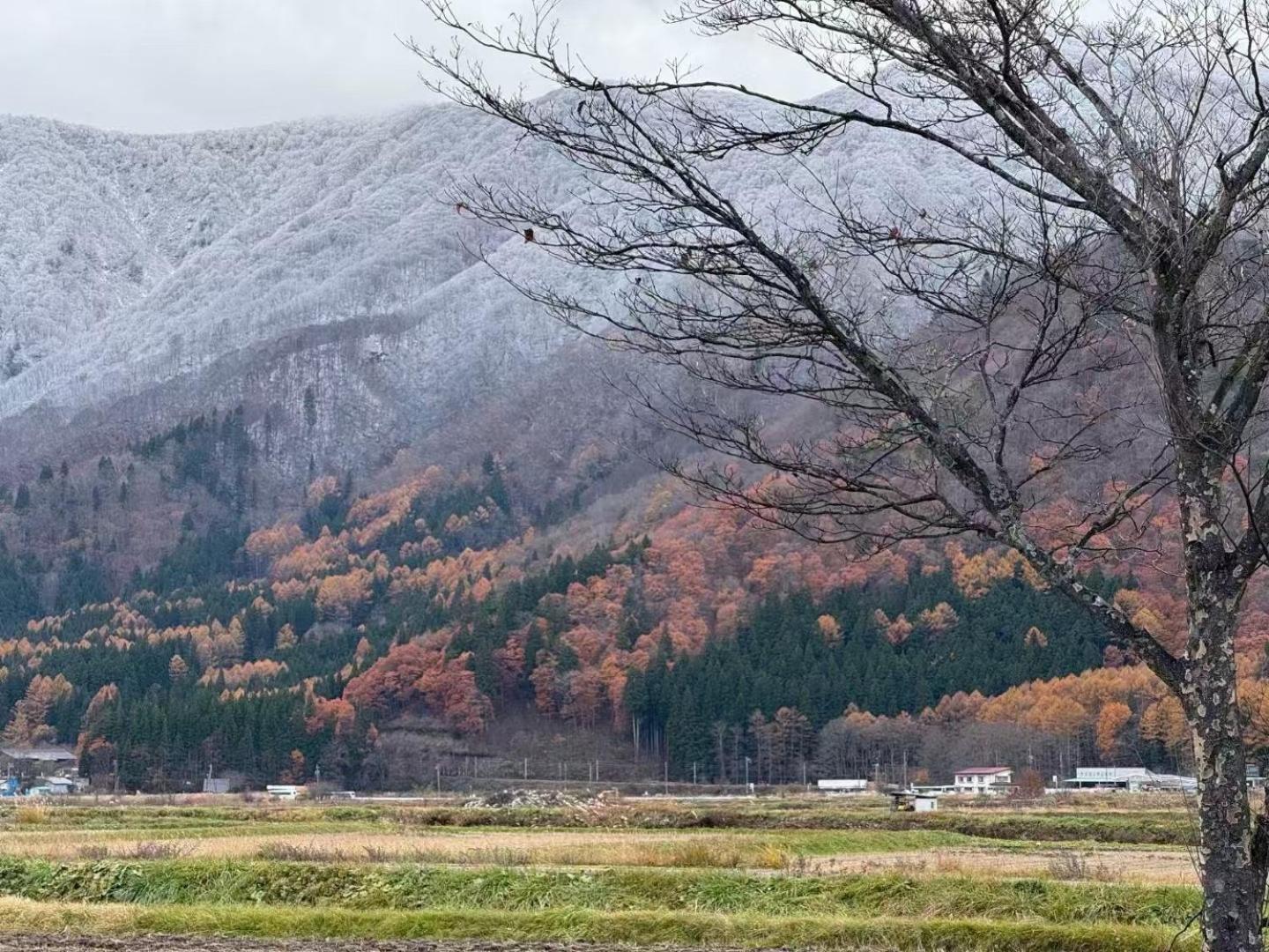 Hakuba Riverside Loghouse Exterior photo