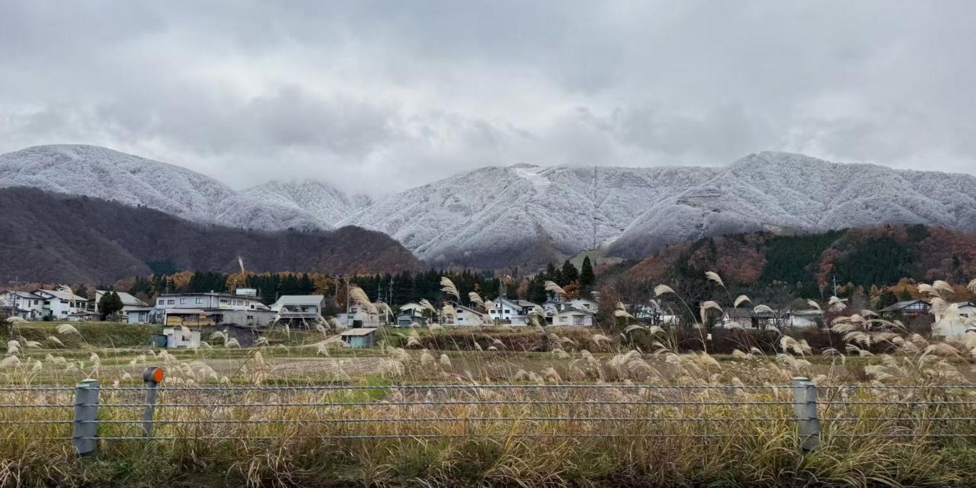 Hakuba Riverside Loghouse Exterior photo